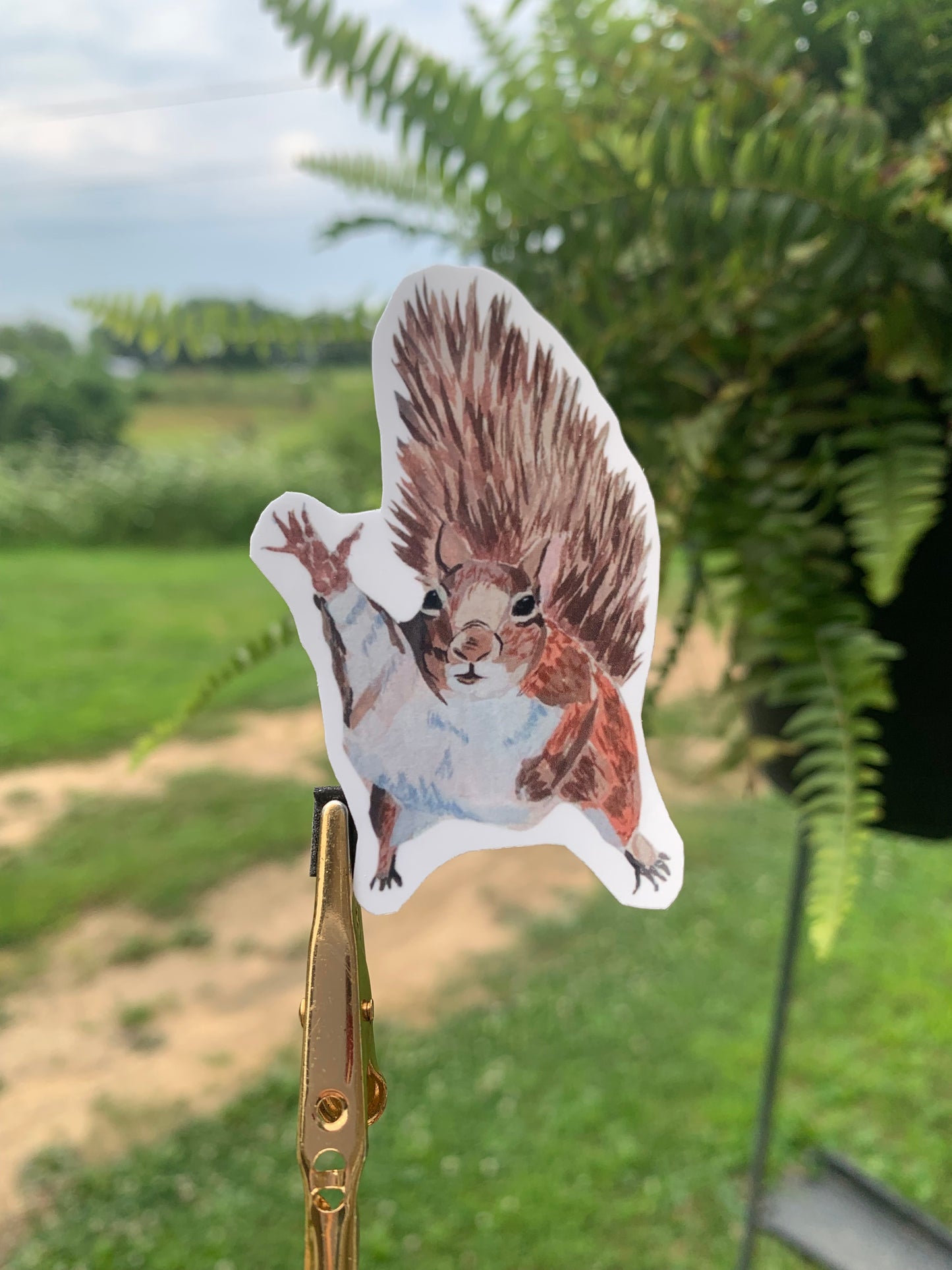 "Wait" Squirrel Sticker