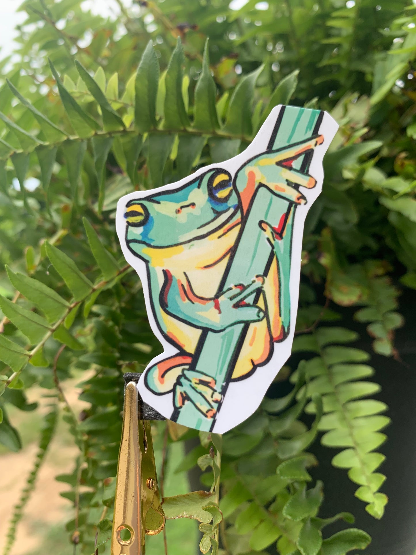 Froggy Stickers (set)