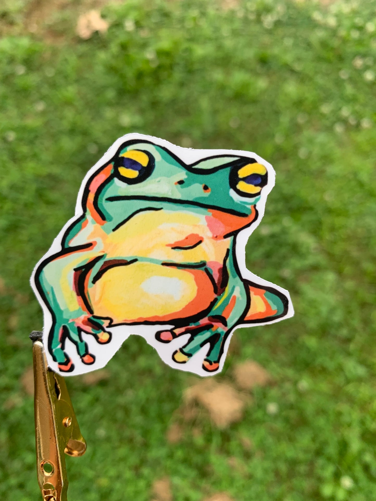 Froggy Stickers (set)