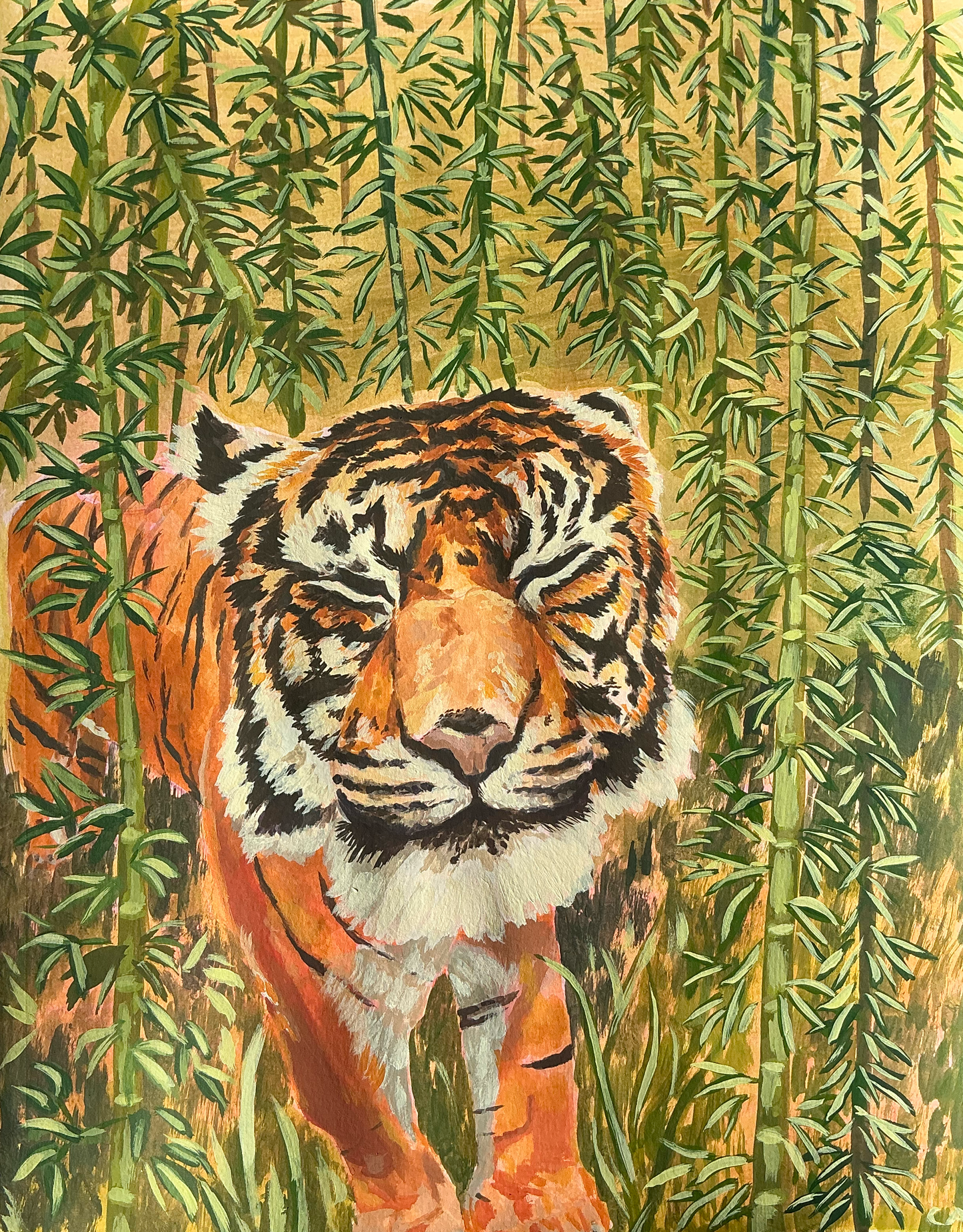 Himalayan Tiger
